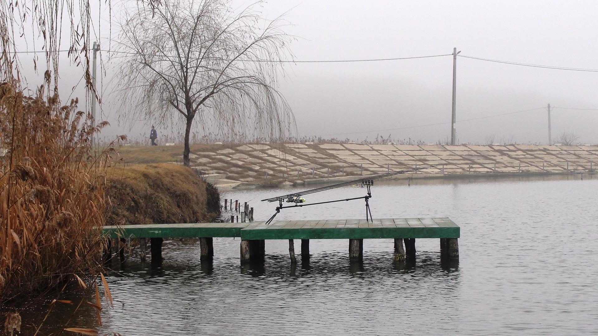 Moara Vlasiei 2 5 - 5 ian. - Un vecin...